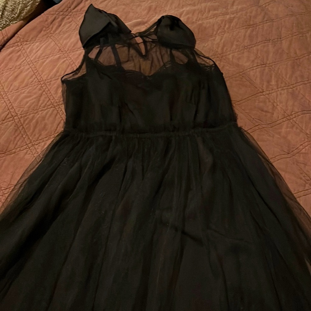 Black sheer dress with built in slip all black and champagne on